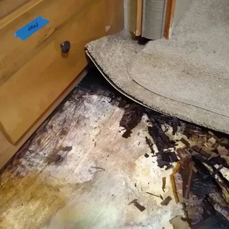 Wood Floor Water Damage in Clark, NJ